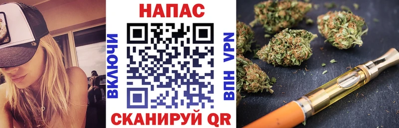Бошки Шишки сатива  где найти наркотики  Сольвычегодск 